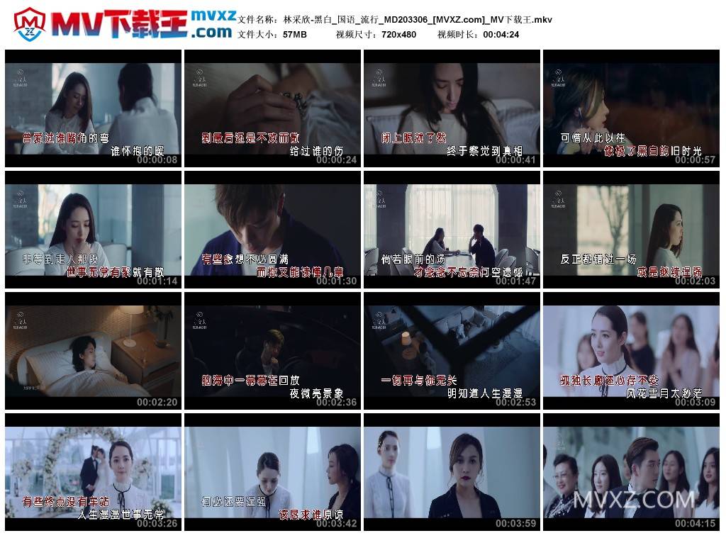 林采欣-黑白_国语_流行_MD203306